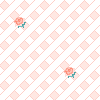 pink-white-rose-fence